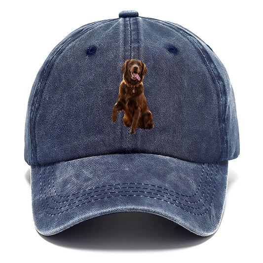 Dark Retriever Classic Cap – Twilight Navy