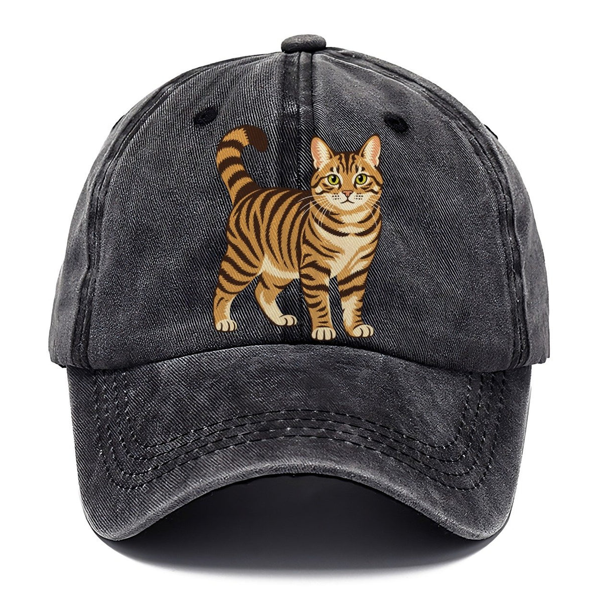 Chinese Li Hua Standing Three Quarter Rare Cat Breeds Classic Cap – Graphite