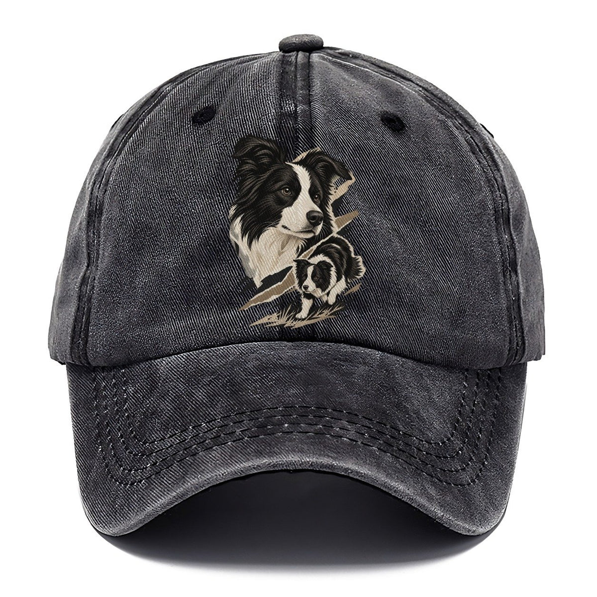 Border Collie Portrait and Pup Classic Cap – Graphite