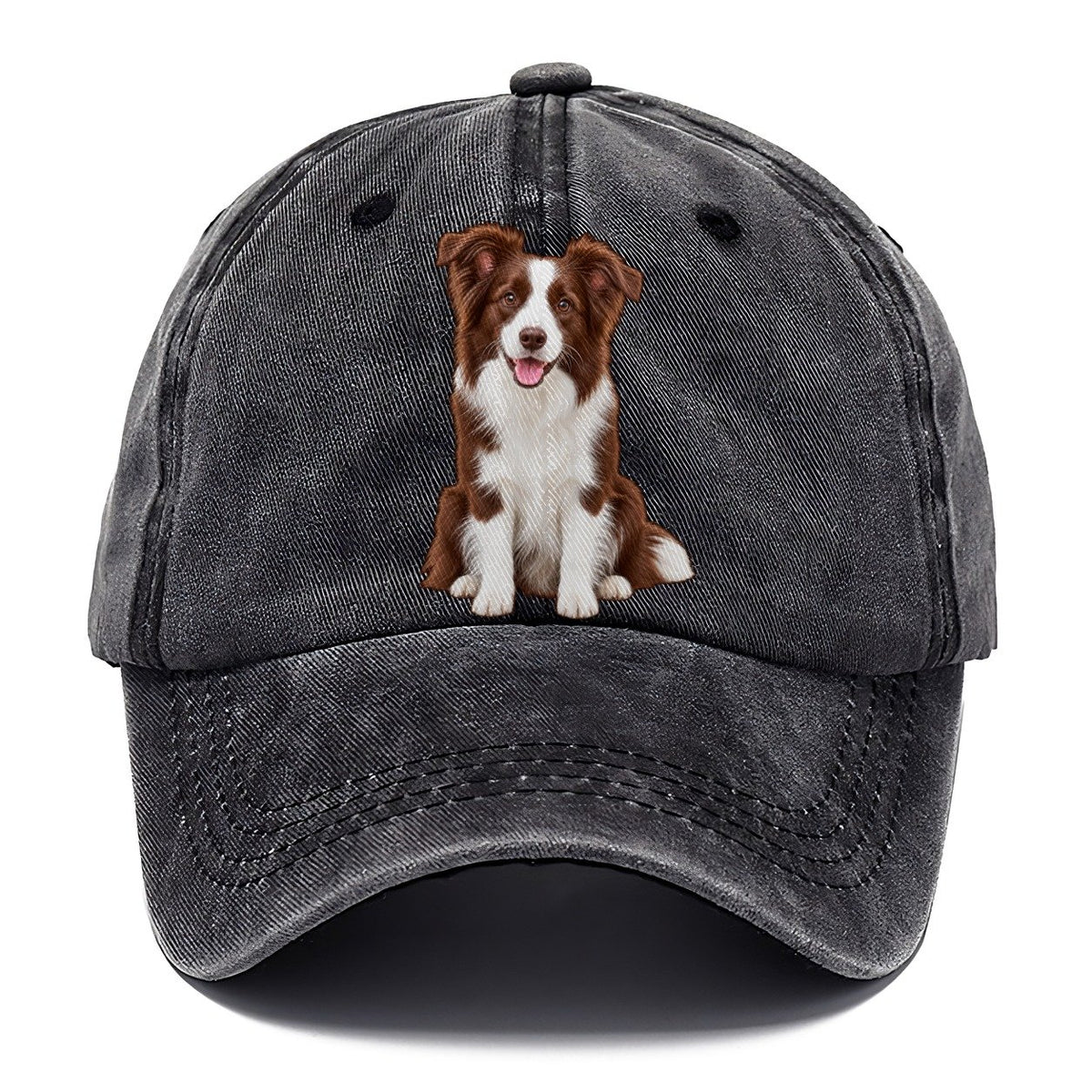 Brown And White Border Collie Classic Cap – Graphite