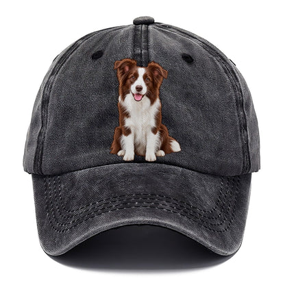 Brown And White Border Collie Classic Cap – Graphite