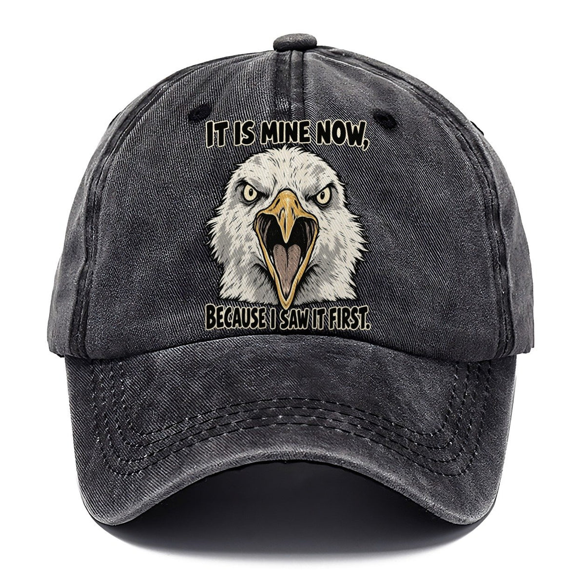 It Is Mine Now Feral Logic Classic Cap – Graphite