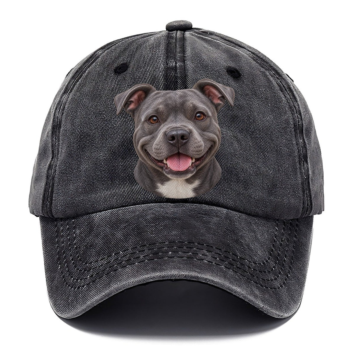 Staffy Blue Velvet Grin Pastimes Companions Classic Cap – Graphite