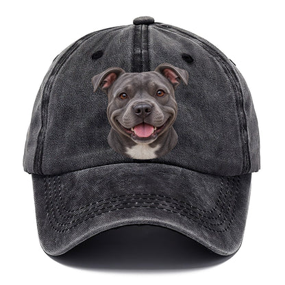 Staffy Blue Velvet Grin Pastimes Companions Classic Cap – Graphite