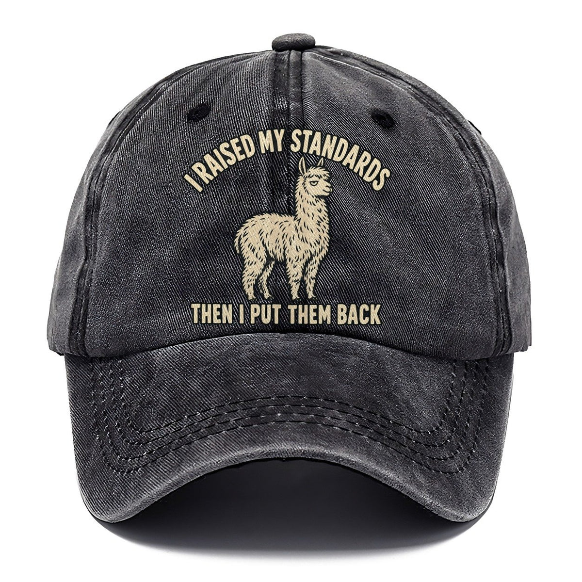 Alpaca Raised Standards No Worm Club Classic Cap – Graphite
