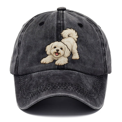 Maltese Play Bow Fan Favorites Classic Cap – Graphite