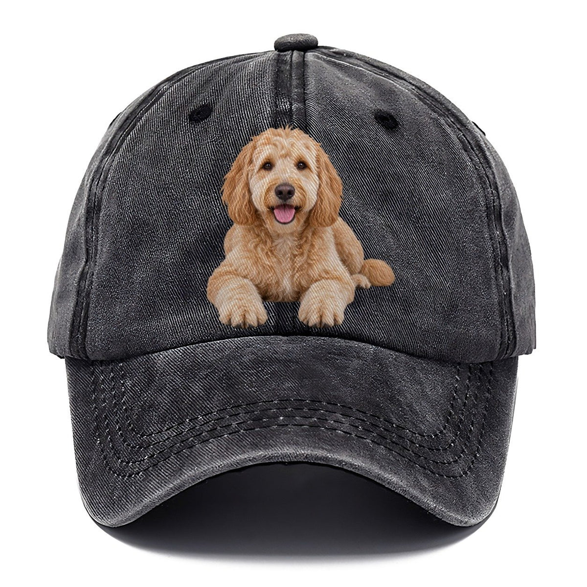Goldendoodle Lying Down Top Breeds Classic Cap – Graphite