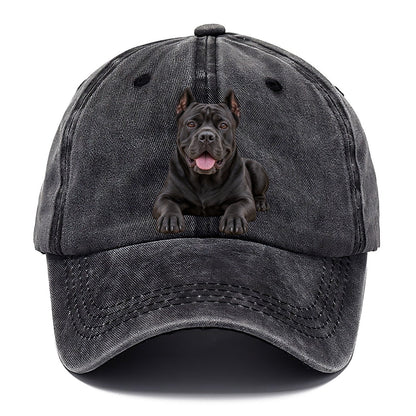 Cane Corso Lying Down Top Breeds Classic Cap – Graphite