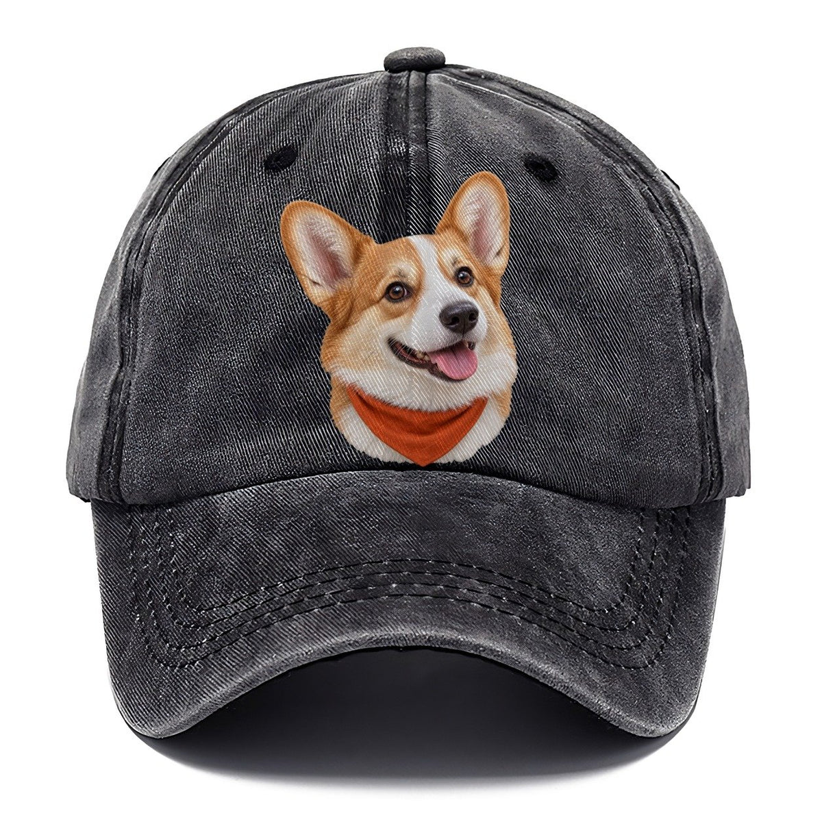 Corgi Autumn Bandana Character Club Classic Cap – Graphite