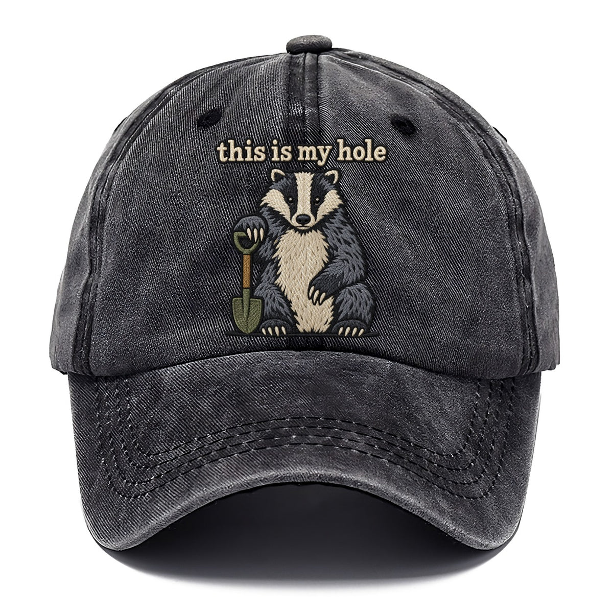 This Is My Hole Strongly Worded Classic Cap – Graphite