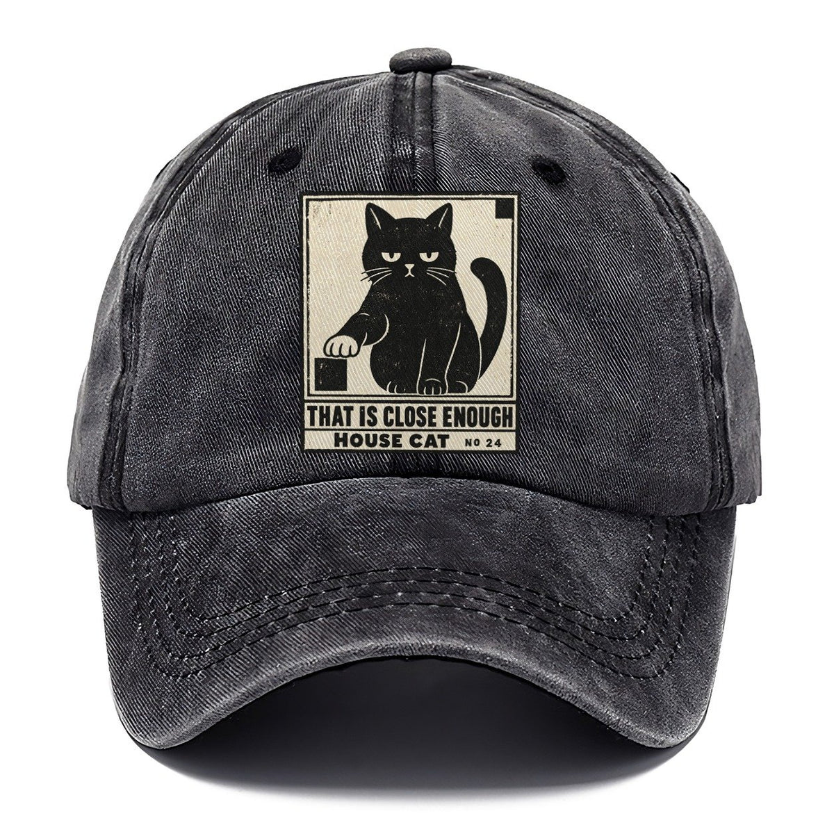 That Is Close Enough Neko Says No Classic Cap – Graphite