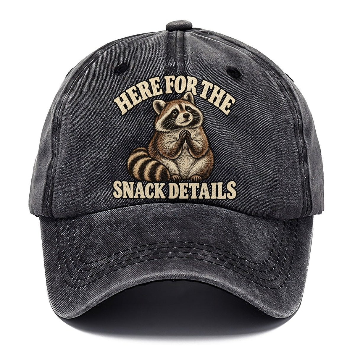 Raccoon Snack Details Character Club Classic Cap – Graphite