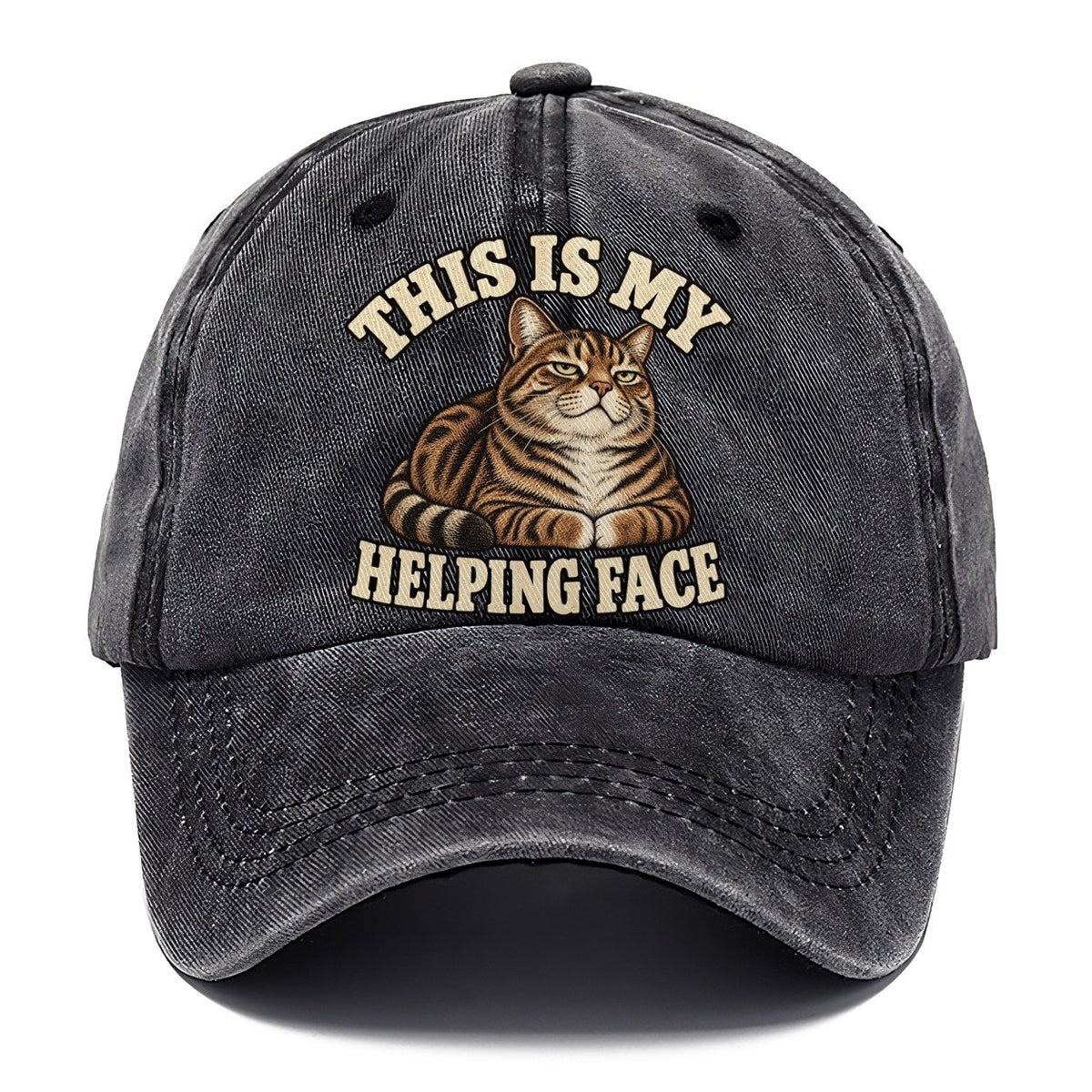 Tabby Helping Face Character Club Classic Cap – Graphite