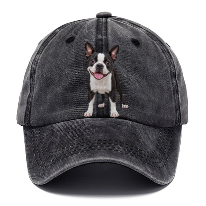 Boston Terrier Standing Top Breeds Classic Cap – Graphite