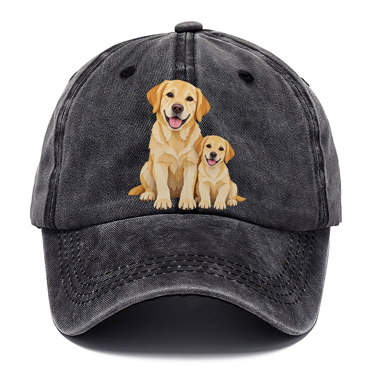 Cut-Paper Labrador Retriever Sitting Top Breeds Classic Cap – Graphite