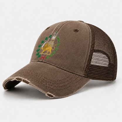 Iran Lion Washed Trucker Hat – Coffee