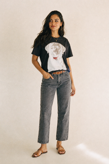 Labrador Friendly Family Classic T-shirt – studio model photo
