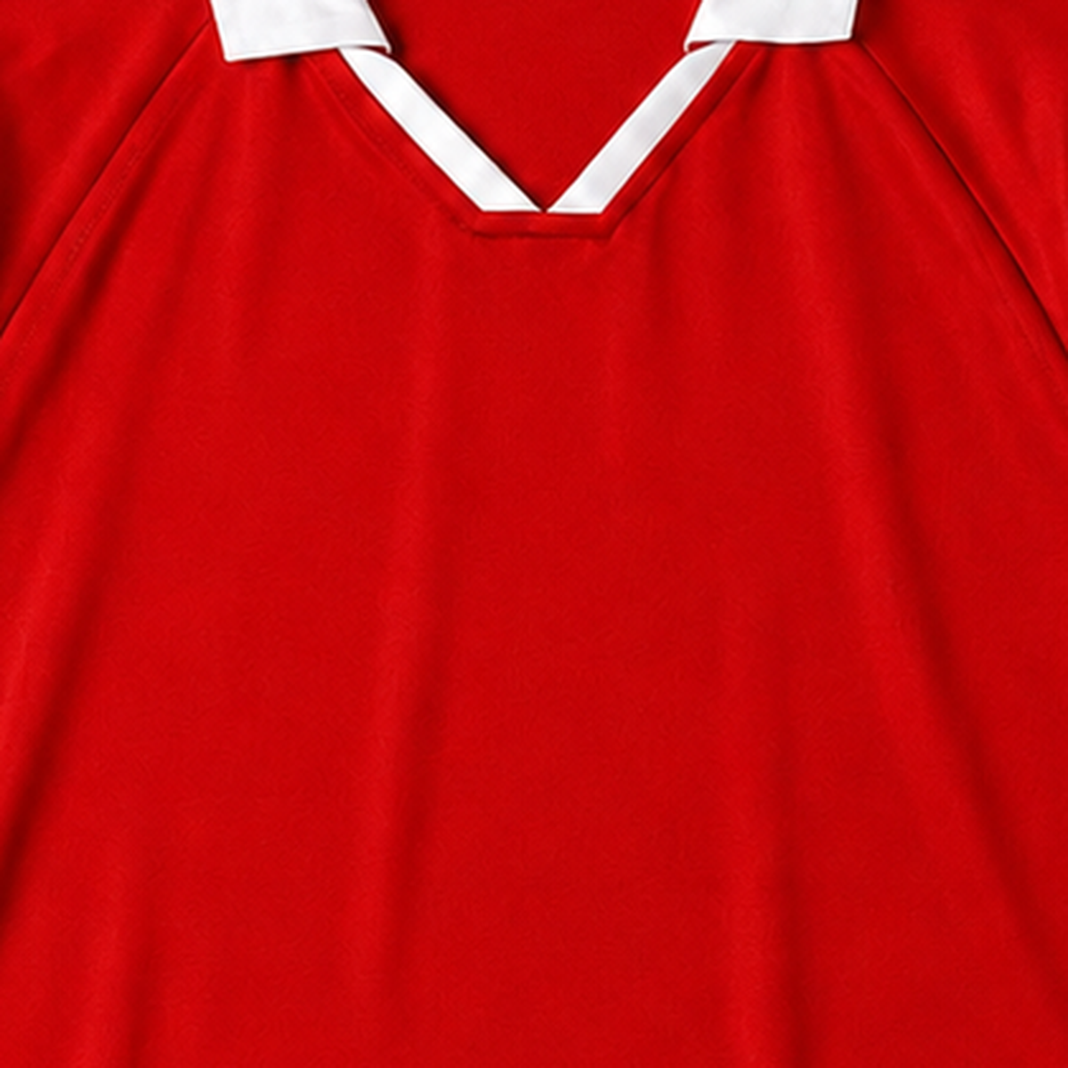 Persian Lion Arch Collar Jersey – red fabric close-up