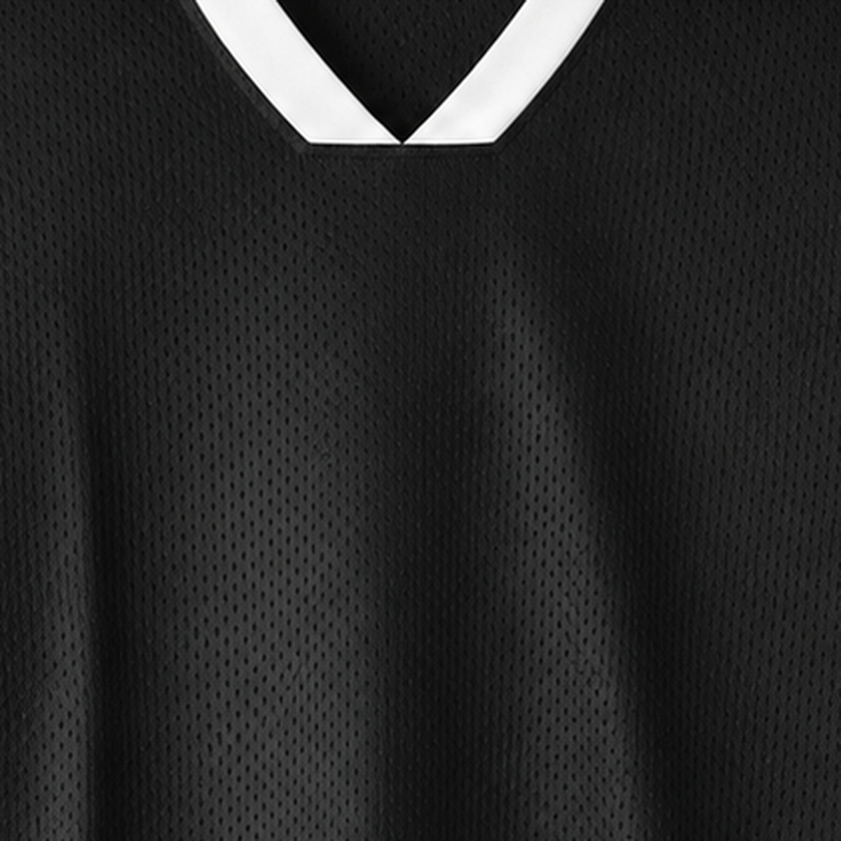 Persian Lion Arch Mesh Jersey – black fabric close-up