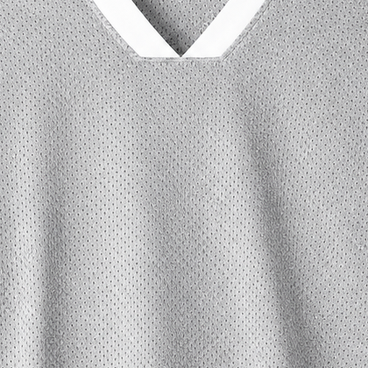 Persian Lion Arch Mesh Jersey – grey fabric close-up