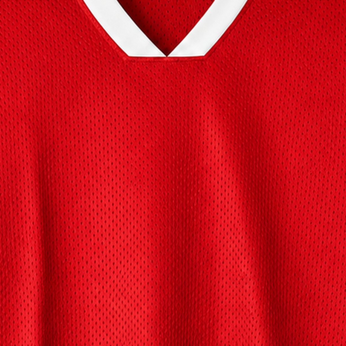 Persian Lion Arch Mesh Jersey – red fabric close-up