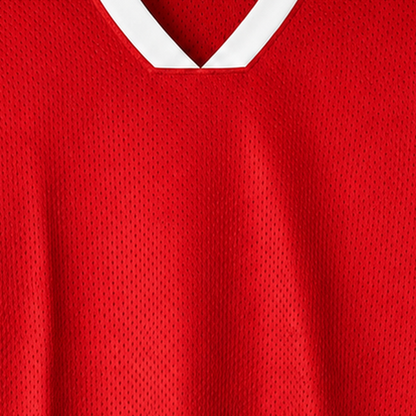 Persian Lion Arch Mesh Jersey – red fabric close-up