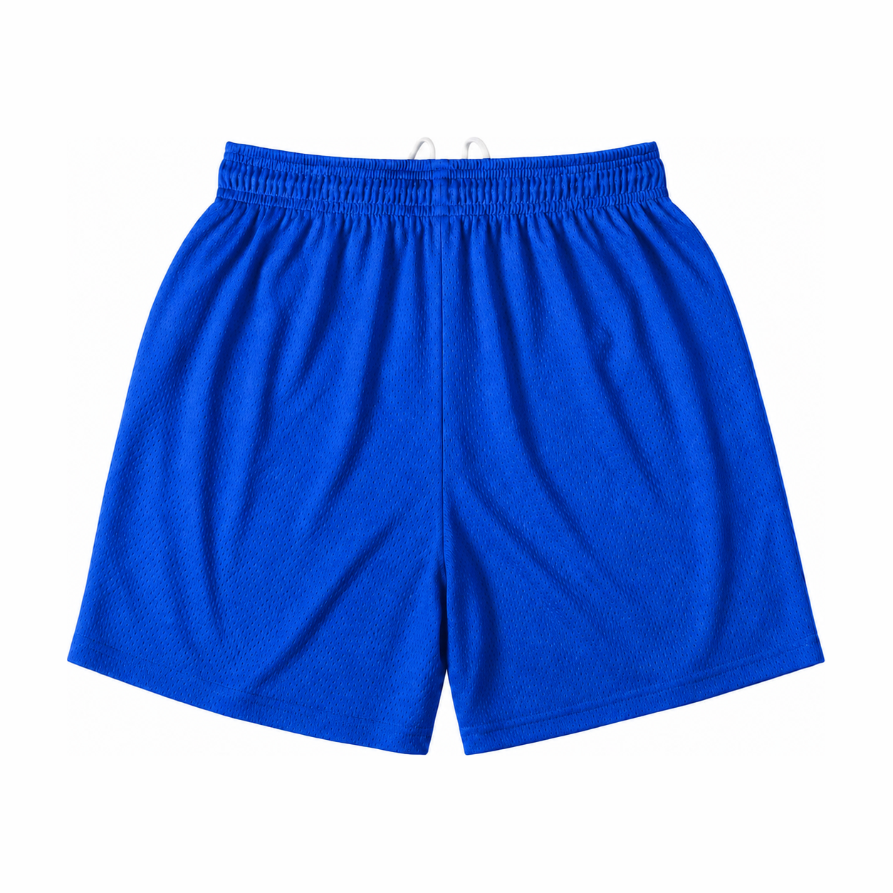 Persian Lion Arch Mesh Shorts – royal-blue back view