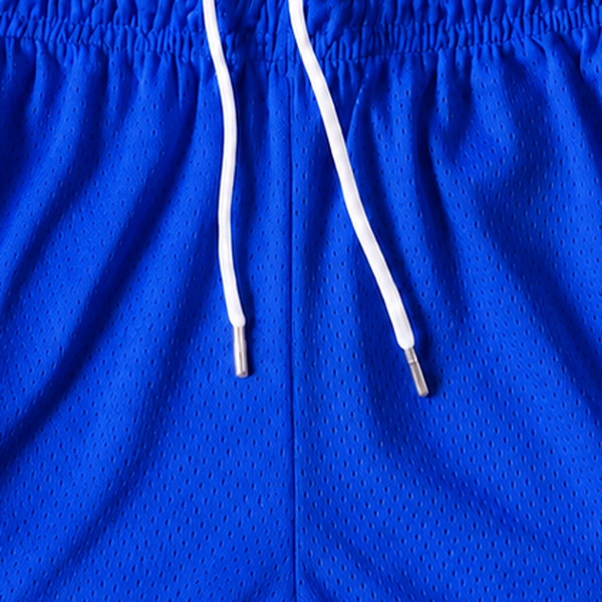 Persian Lion Arch Mesh Shorts – royal-blue fabric close-up