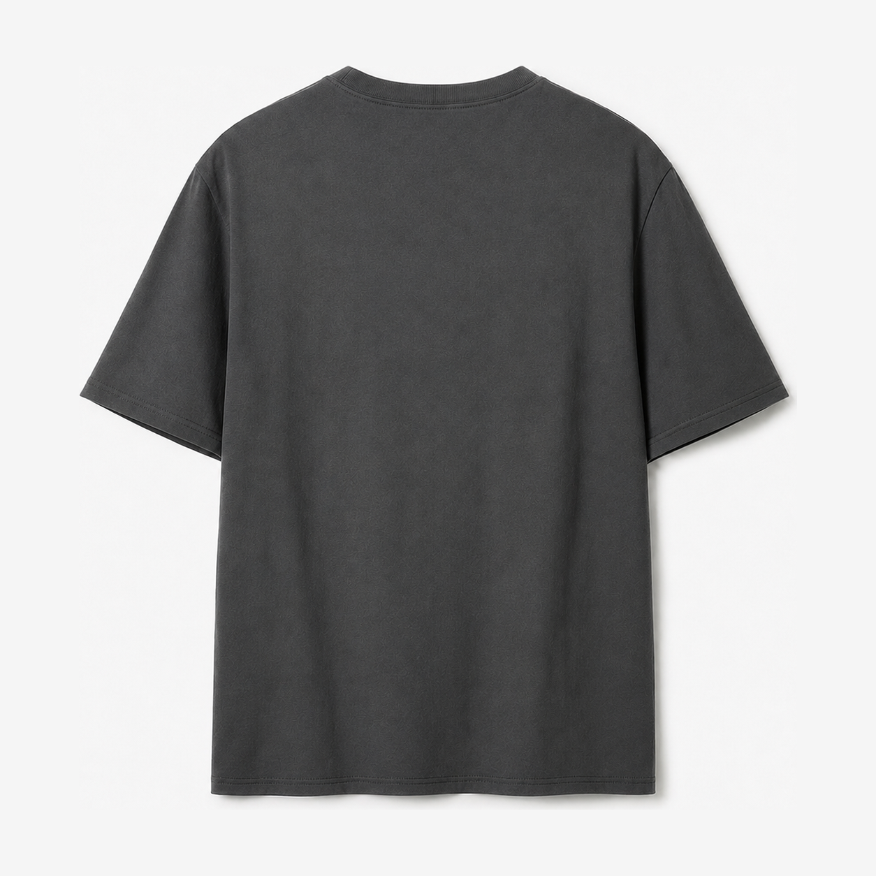 Persian Lion Arch Pocket T-Shirt – dark-grey back view