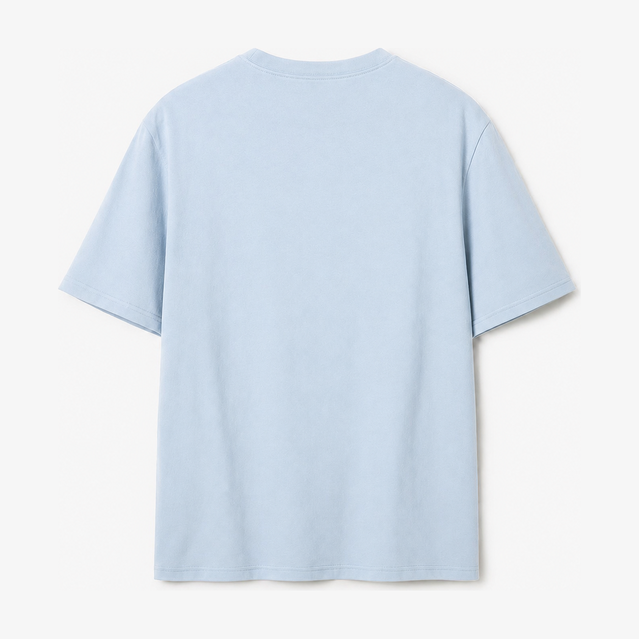 Persian Lion Arch Pocket T-Shirt – light-blue back view