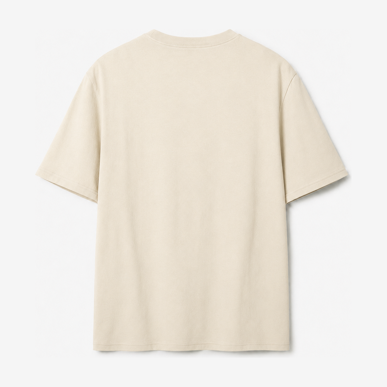 Persian Lion Arch Pocket T-Shirt – oatmeal back view