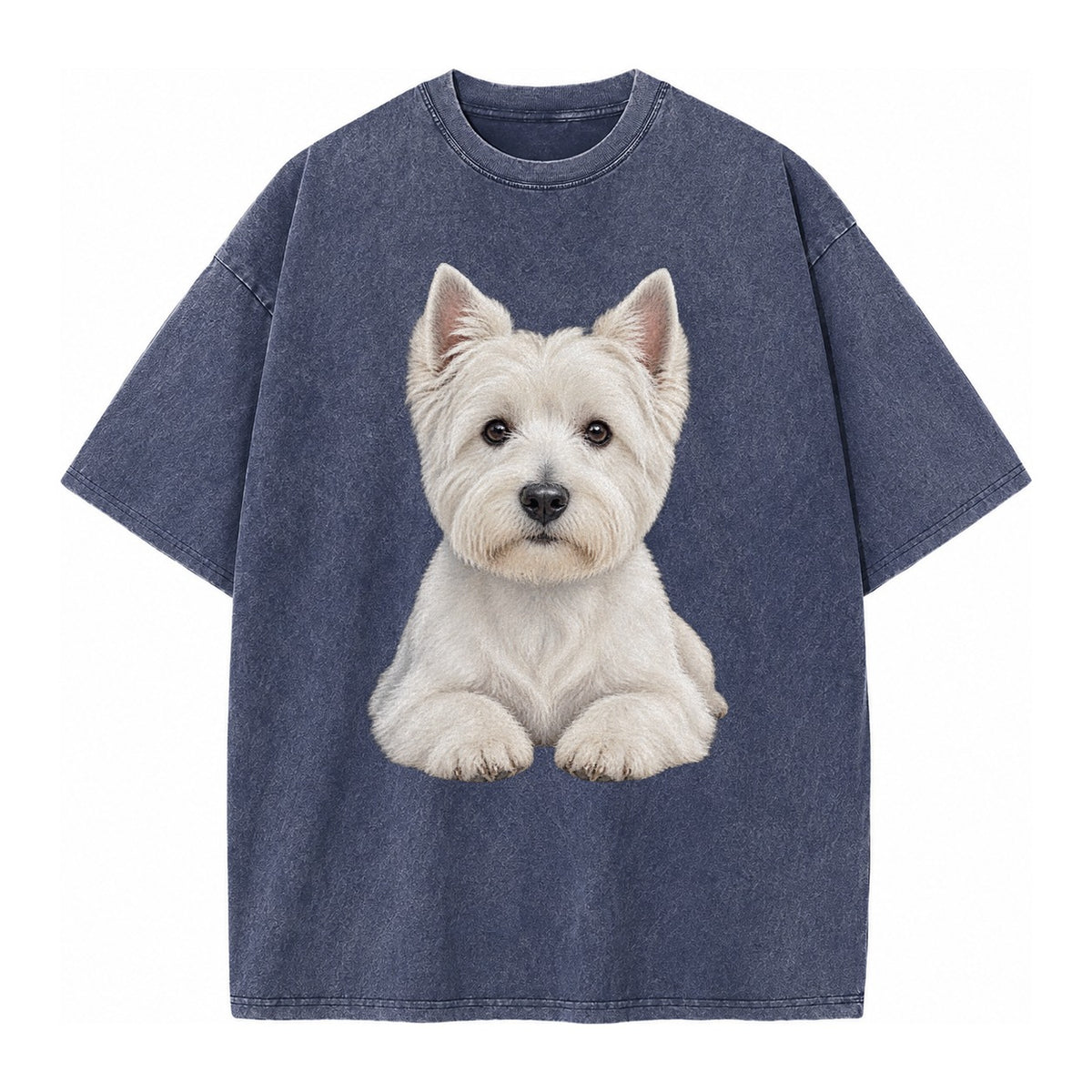 Pickleball Vintage T-shirt – Blue