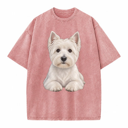 Pickleball Vintage T-shirt – Dusty Rose(Rose)