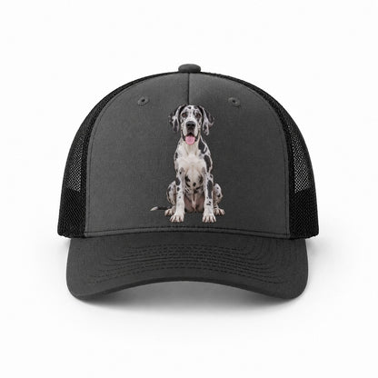 Dark Grey-Black — front view