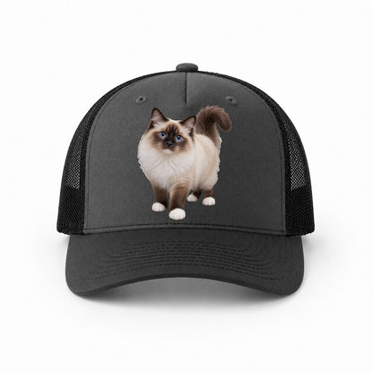 Dark Grey-Black — front view