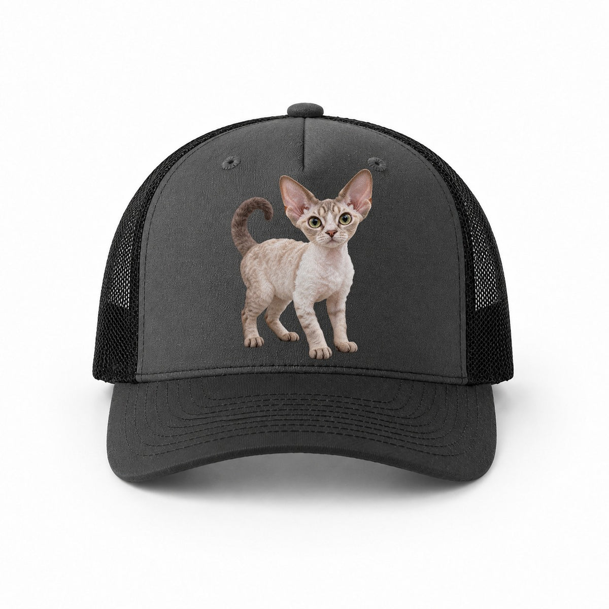 Dark Grey-Black — front view