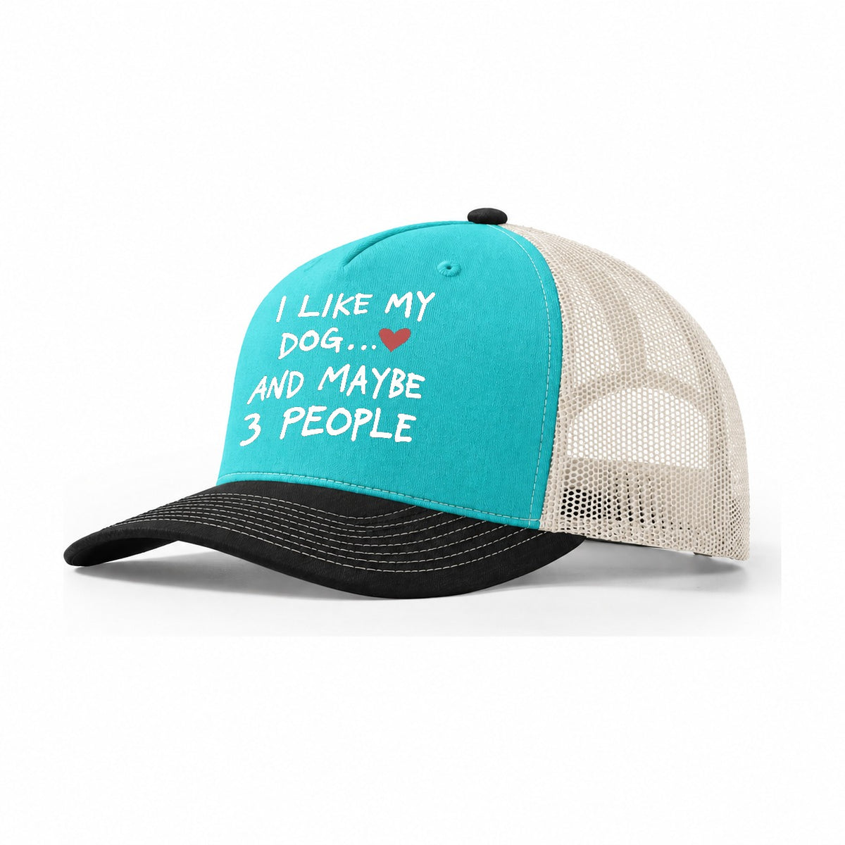 I Like My Dog And Maybe 3 People Trucker Hat – Aqua Black White