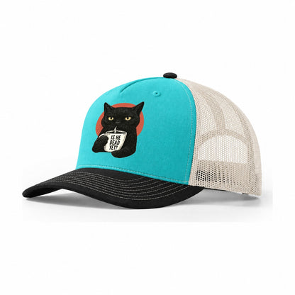 Is He Dead Yet Cat Trucker Hat – Aqua Black White