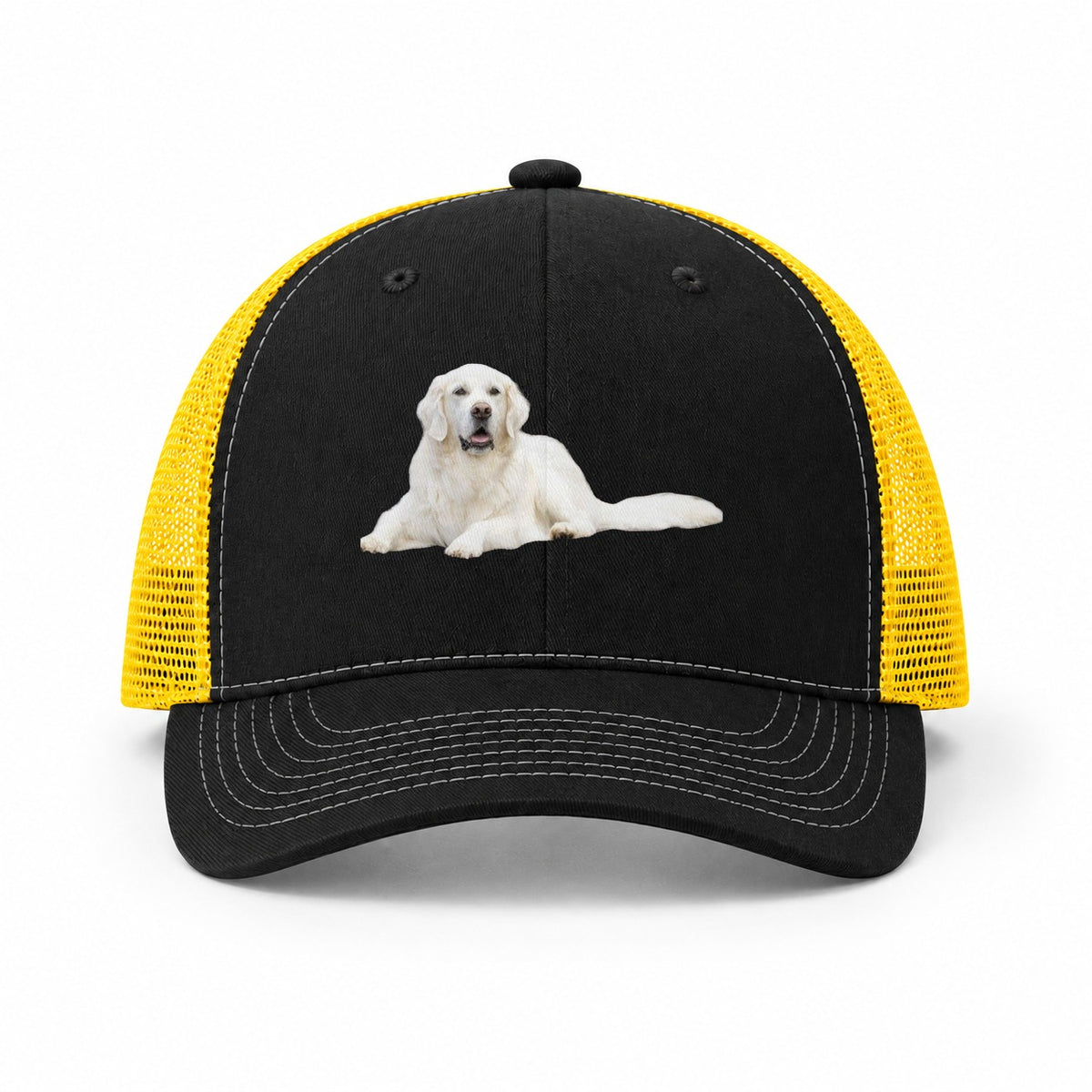 Black-Yellow — front view