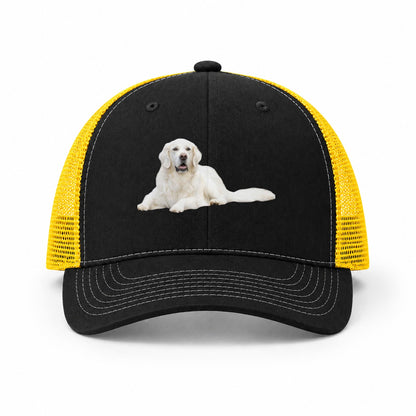 Black-Yellow — front view