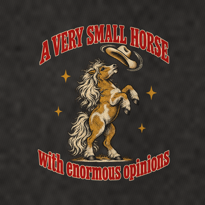 With Enormous Opinions Unhinged Affirmations Vintage T-shirt – black, print and cotton detail (AI mockup)